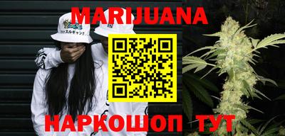 apvp Бийск
