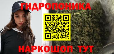 apvp Бийск