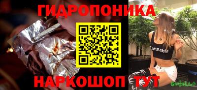 apvp Бийск