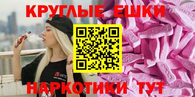 apvp Бийск