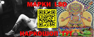 apvp Бийск