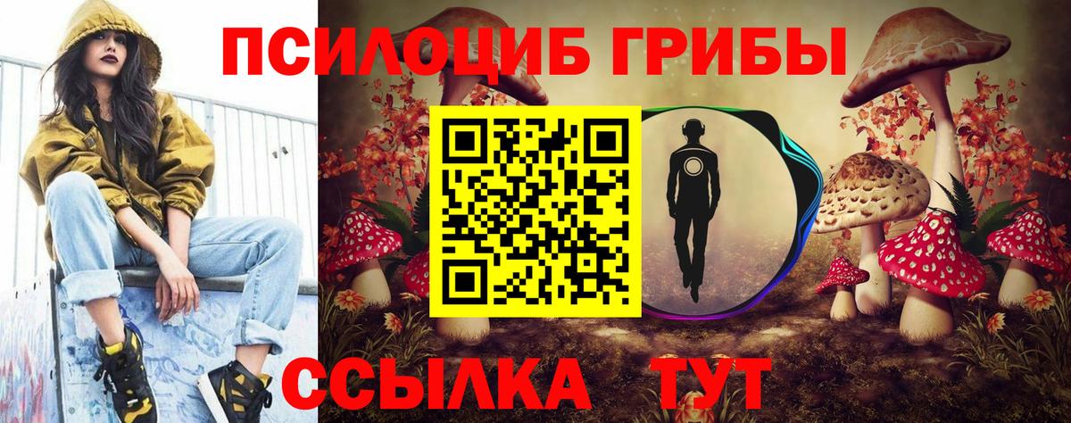 Псилоцибиновые грибы GOLDEN TEACHER Киселёвск